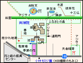 興禅院案内図