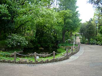 赤塚植物園