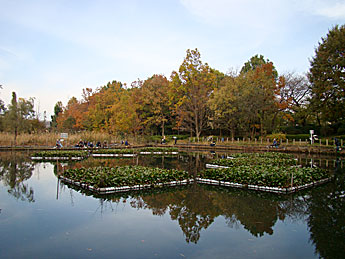 川口自然公園