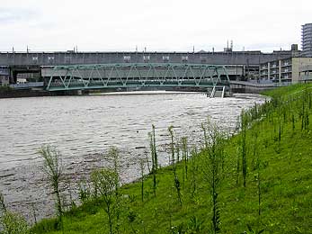 新河岸川の増水