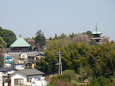 低地を挟んだ西福寺