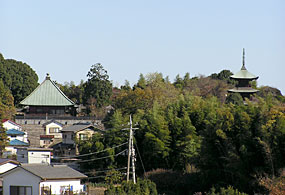 西福寺遠景