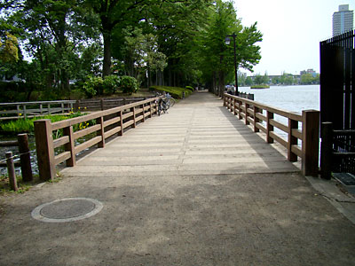 公園橋