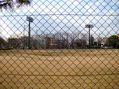 浮間公園の野球場
